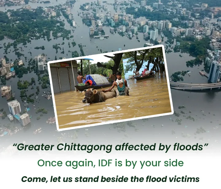 Flood